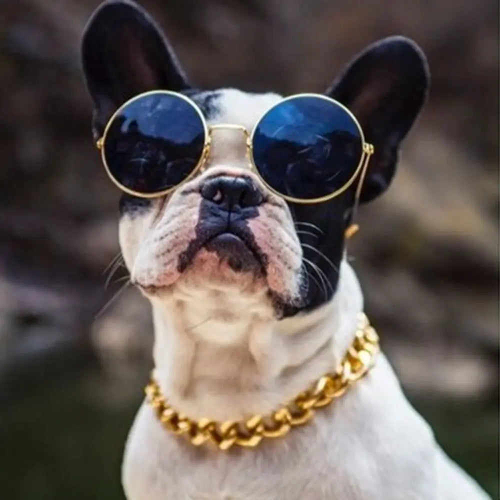 Pet Necklace chain necklace
