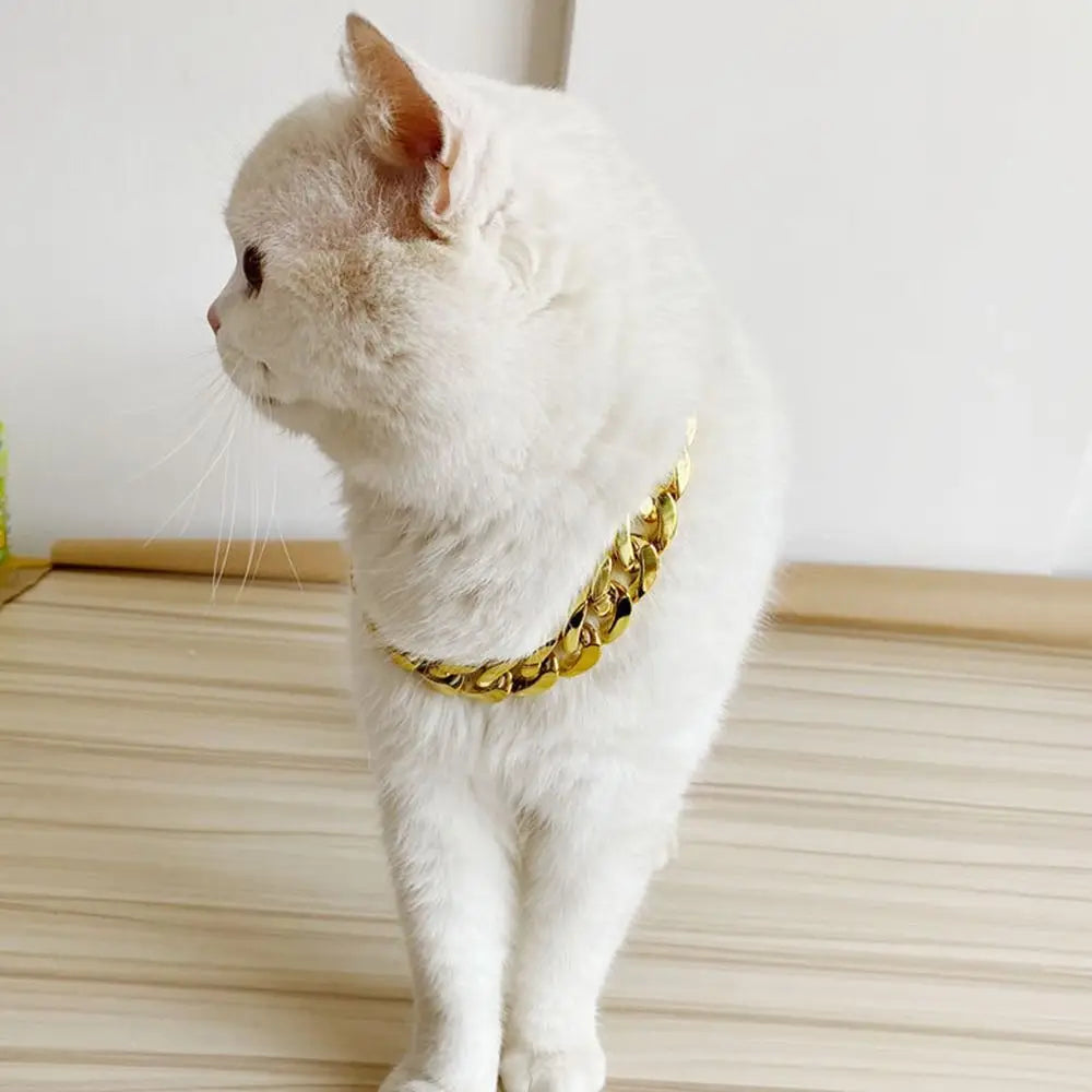 Pet Necklace chain necklace